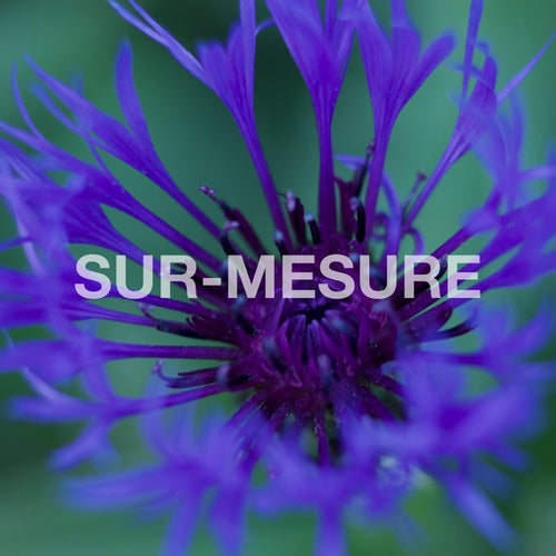 VA - Sur-Mesure [MOOD239]